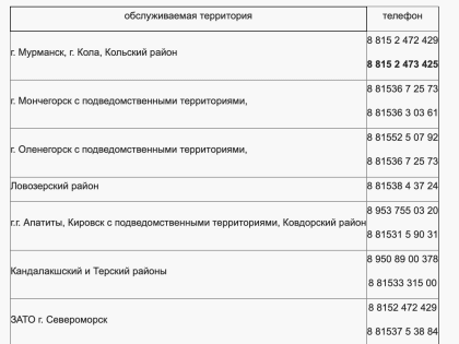 Для жителей Заполярья проведут горячую линия по профилактике клещевого энцефалита