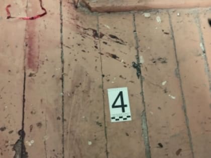 Мурманчанин зарезал приятеля и закопал в сугробе