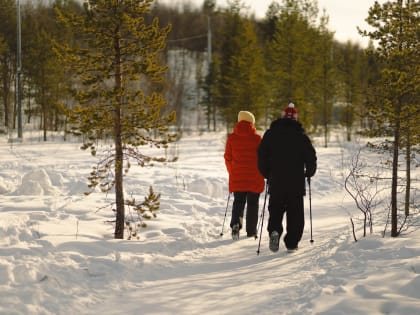 Мурманскую область включили в топ-3 