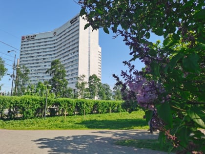 В Мурманской области растет инфляция