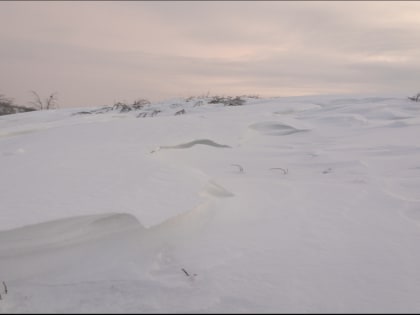 Cтраны БРИКС будут участвовать в проектах в Арктике