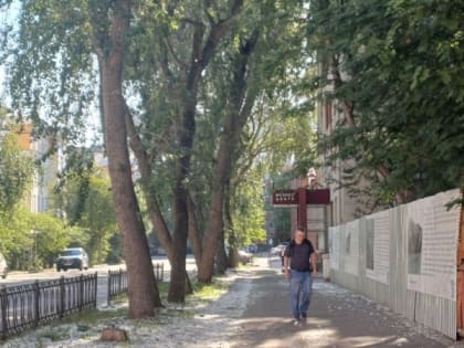 В Мурманской области жарко и безветренно