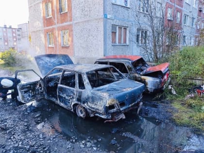 Два горящих автомобиля в Нивском тушили 11 человек