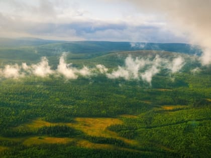 Северянам напоминают о соблюдении правил пожарной безопасности в лесу