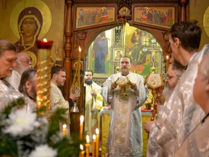 В Рождественский сочельник митрополит Митрофан совершил Литургию в храме Спаса на водах