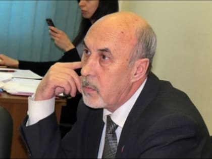 Проблема бродячих животных в Мурманске: виновники и решения