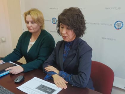 Северянам пояснили, что делать в случае несогласия с сальдо единого налогового счета