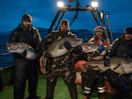 Мурманские рыбаки оказались вторыми по уровню доходов в стране после банкиров: исследование РИАН
