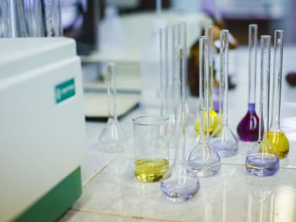 Студенты из Мурманской области стали лучшими в конкурсе 