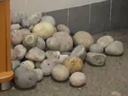 В субботу на «Первом» покажут команду КВН из Мурманской области