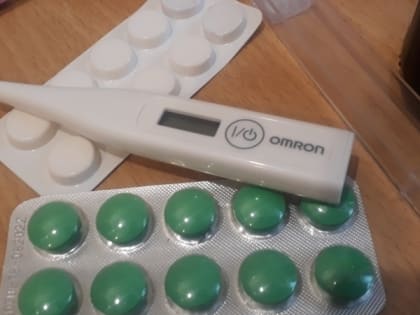 На «горячей линии» северянам дадут советы по профилактике ОРВИ