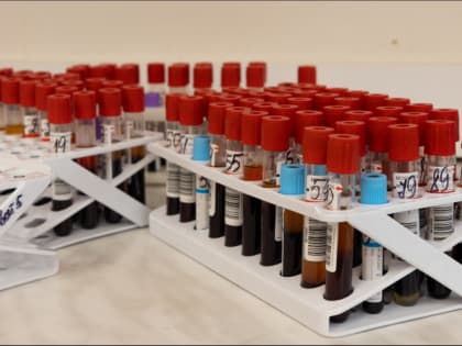 В Мурманской области растёт заболеваемость сахарным диабетом