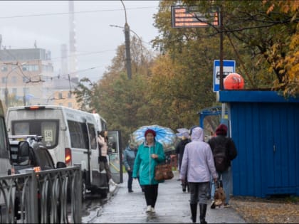 Неделя в Заполярье начнётся с дождей