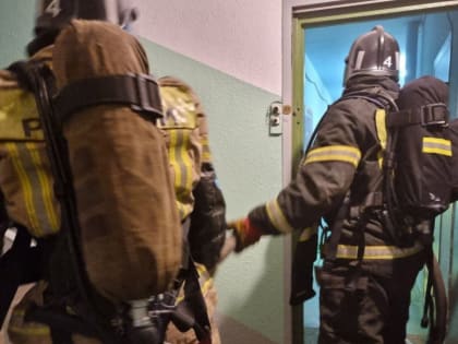 В Оленегорске из огня спасли трёх человек