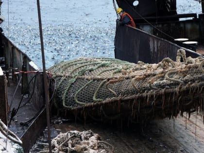 9 июля – День рыбака