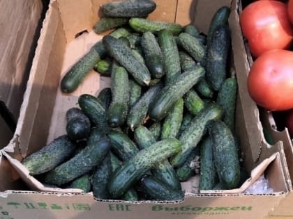 За месяц овощи в Мурманской области подорожали на 17%