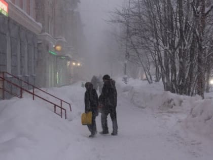 Синоптики предупредили северян о метели и сильном ветре
