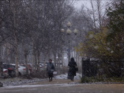 В «Мурманских городских парках и скверах» назначили нового директора