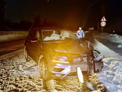 На дороге Апатиты- Кировск   легковушка столкнулась с лосем