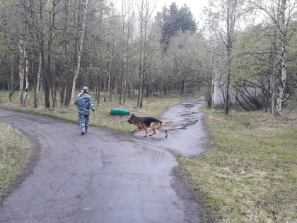 Прошли проверку на безопасность