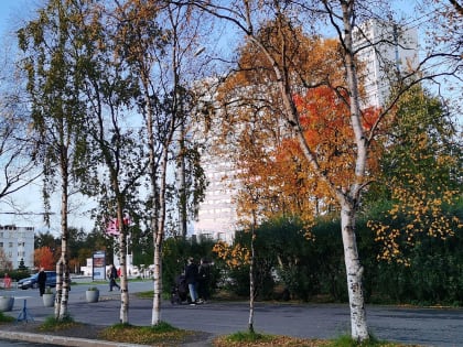 В Мурманской области закроют роддом