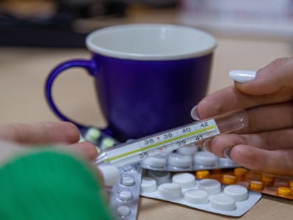 Заболеваемость гриппом и ОРВИ снизилась в Мурманской области к 4 июня