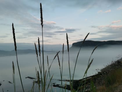 Дождь и ветер. Синоптики рассказали о погоде в Мурманской области 