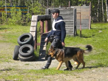 Кинолог СИЗО-2 стал чемпионом первенства Мурманской области по прикладной дрессировке