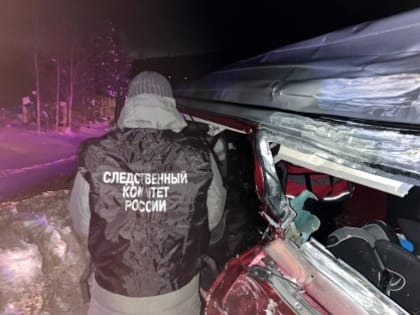Расследуется уголовное дело  по факту гибели трех детей в ДТП в Кандалакшском районе