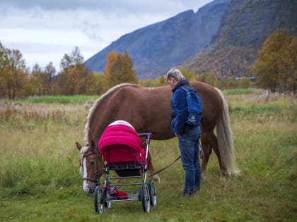 18.09.2023  Конный Клуб традиционно организовал мероприятие, приуроченное ко Дню Туризма!