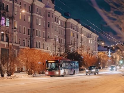 Северянам рассказали, как легче пережить полярную ночь