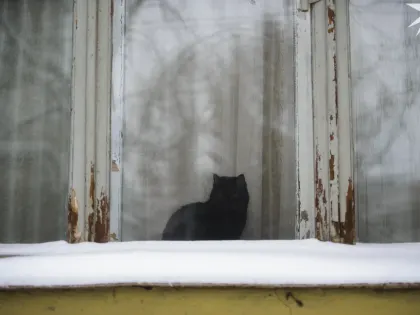 Аллергия, астма и сонливость. Северянам рассказали, почему плохо редко проветривать