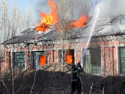 В Апатитах горит здание бывшей птицефабрики [видео]