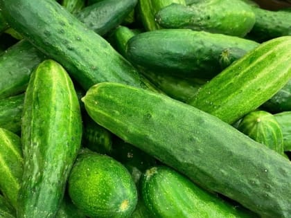 Пять продуктов для здоровья почек