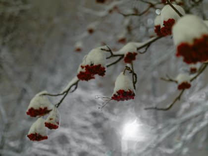 Циклон принесёт Мурманской области облачную с умеренным ветром погоду и снег