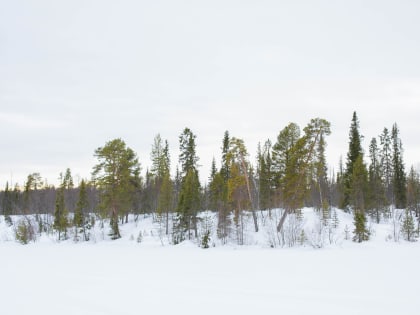 Освоение Полмостундровского месторождения лития начнётся в 2023 году