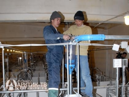 Малые предприятия России побили рекорд за 5 лет по развитию бизнеса