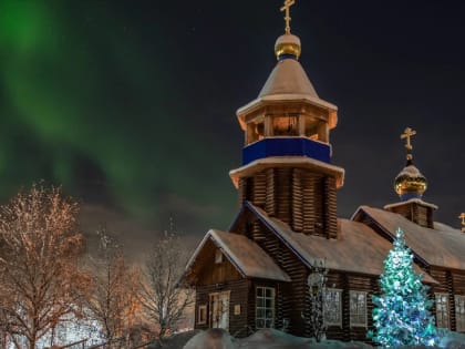 Путин поручил Шойгу прекратить огонь на Рождество