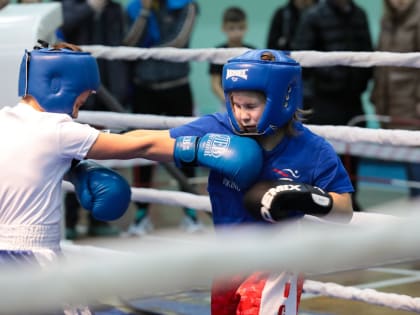 Чемпионат и первенство Мурманской области по кикбоксингу проходят в Мурманской области