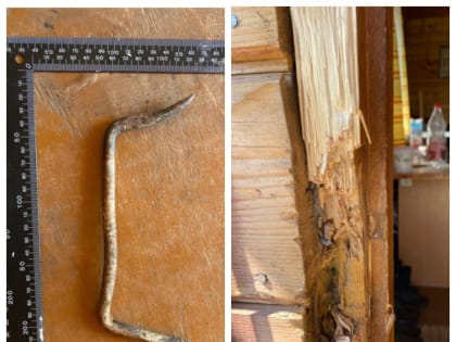 Уроженец Мурманска задержан в Вологодской области за дачные кражи