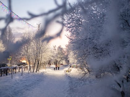 Мороз и ветер ожидаются в воскресенье в Мурманской области