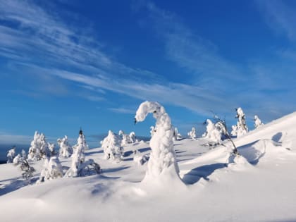 Синоптик: «Мы в самом начале большого пути к весне»