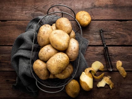 Внимание, зараженный картофель!