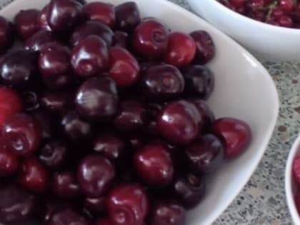 Жителям Мурманской области дали рекомендации по выбору черешни