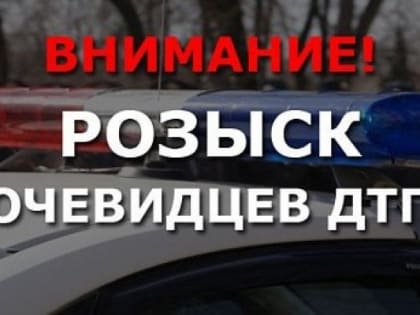 Мурманская полиция разыскивает очевидцев ДТП