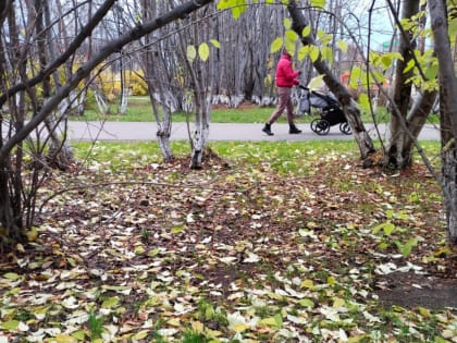 В Заполярье холодно и ветрено