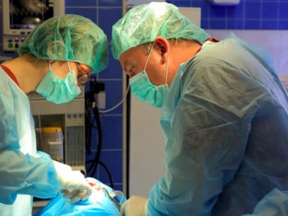 Мурманская «Пироговка» подвела итоги 2023 года