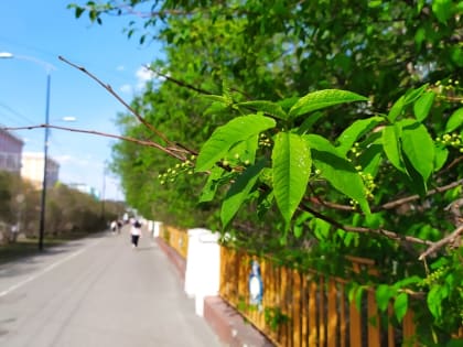 Прогноз погоды в Мурманске на 24 мая