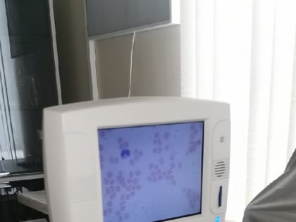 Летние путешествия с собаками: осторожность в условиях пироплазмоза