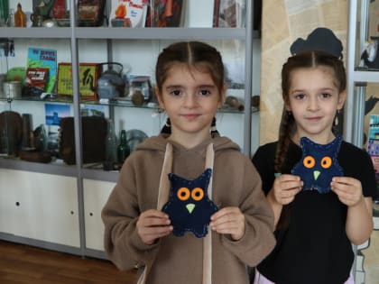 Джинсовая совушка